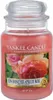 Candela profumata ai fiori di rosa e albicocca in vaso con Anteprima dell’immagine prodotto 2