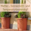 2er Set Pflanzkübel Halbrund direkt an der Wand Pflanzkübel Produktbild-Vorschau 4