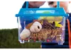 Eduplay Insektenbox - Lernspielzeug für kleine Entdecker Produktbild-Vorschau 8