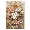 MuchoWow® Mauspad Mousepad Orchidee - Ernst Haeckel 18x27 Produktbild-Vorschau 1
