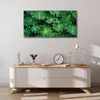 Coloray Bild aus Leinwand 100x50 Leinwand Dekoration - Produktbild-Vorschau 4