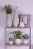 Clayre & Eef Blumentopf Ø 14x13 cm Grün Beige Keramik Produktbild-Vorschau 3