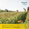 WELEDA Calendula billenbalsem (30 ml) Productafbeelding-voorbeeld 4