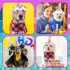 Bandana Hunde Zubehör Set Hund Geburtstag Bandana Set Produktbild-Vorschau 5