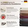 SABRO KUDDE Orthopädisches Hundebett – Hochwertiges Produktbild-Vorschau 3