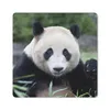 MuchoWow® Mauspad Mousepad Großer Panda - Gras - Steine Produktbild-Vorschau 1