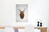 MuchoWow® Poster Hirsche - Deutschland - Geweihe 40x60 cm - Produktbild-Vorschau 5