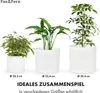 Fox & Fern Blumentopf mit Stopfen, Blumentopf Gross für Produktbild-Vorschau 6