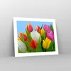 Poster - Poster ohne Rahmen - Tulpen Blumenstrauß Blumen Produktbild-Vorschau 7