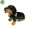 Bassotto Peluche Con Collare 36 Cm Ecologico Anteprima dell’immagine prodotto 13