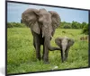 MuchoWow® MuchoWow® Gerahmtes Poster Elefant - Natur - Park Produktbild-Vorschau 1
