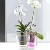 Kvetináč pre orchideu COUBI 16 cm priehľadný Náhľad obrázku produktu 8