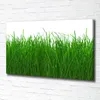 Tulup® Leinwandbild - 100x70 cm - Wandkunst - Drucke auf Produktbild-Vorschau 2