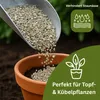 Samenshop24® Aussaathilfe/Pflanzensubstrat Vermiculite | Produktbild-Vorschau 3