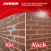 Jurga Klinkerreiniger: Intensiver Reiniger zur Entfernung Produktbild-Vorschau 5