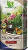 Pro Natur Pflanzerde Torffrei 40l Produktbild-Vorschau 1