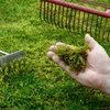 Eisendünger Rasen Moosverdränger Rasendünger Gegen Moos Produktbild-Vorschau 2