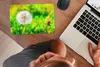 MuchoWow® Mauspad Mousepad Löwenzahn - Gras - Blume 27x18 Produktbild-Vorschau 3