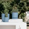 Three blue planters with plants on a white surface, with trees in the background. Produktbild-Vorschau