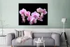 MuchoWow® Poster Orchidee - Blumen - Rosa - Flora 120x90 cm Produktbild-Vorschau 5