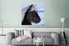 MuchoWow® Poster Pferd - Schnee - Island 75x75 cm - Wand Produktbild-Vorschau 5