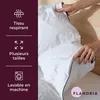 FLANDRIA Couette en Plumes et Duvet Chaude 650 g/m², Voir les images du produit 5