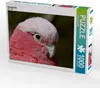 Calvendo Rosakakadu 1000 Teile Puzzle quer 640x480mm, Produktbild-Vorschau 1