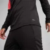 Puma Individualfinal Ff. 14 Zip-top 65926257 Herren Produktbild-Vorschau 5