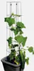 Bellissa Gurkenturm 120cm 120 cm hoch Produktbild-Vorschau 2