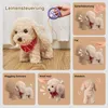 A collage of images showing an interactive robot dog and its features, including leash control, voice control, patting, wagging tail, barking, and walking. Produktbild-Vorschau