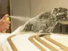 NOCH Easy-Track Trassenbausatz Karlsberg, HO (1:87) Produktbild-Vorschau 19
