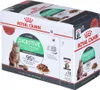 Royal Canin Digest Sensitive Care- Nassfutter für Katzen- Produktbild-Vorschau 1