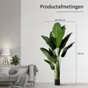 IvoQ Strelitzia umelá rastlina 210 cm - veľká strelícia - Náhľad obrázku produktu 4