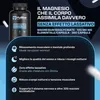 HyBlue Magnesio Bisglicinato Capsule 360, 100mg | Magnesio Anteprima dell’immagine prodotto 3