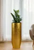 VIVANNO Bac à plantes en fibre de verre SOLERIO Rond, Voir les images du produit 5
