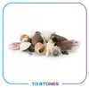 Aquarium Deko, Muscheln Naturmix 100 g Produktbild-Vorschau 6