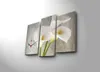 Opviq, 3PATCS- CLA2659, Bunt, Wanduhren, 66 x 45 cm, 100% Produktbild-Vorschau 3