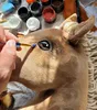 Cavallo Hobby Horse Grande Premium - Isabella A3 Anteprima dell’immagine prodotto 4