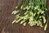 SAFLAX - Bio - Cięte - Czosnek - 100 Nasiona - Allium Podgląd zdjęcia produktu 8