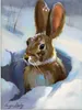 ARTland Glasbild Schneehase Größe: 45x60 cm Produktbild-Vorschau 1