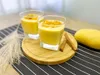 Leonce Blanc Mango-Frucht-Püree 1kg exotisches Mango-Püree Produktbild-Vorschau 7