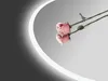 A pink rose and its reflection are shown against a gradient background with a bright curved light. Produktbild-Vorschau