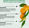 Allflor pierwotna mączka skalna 10 kg - dla lepszych plonów Podgląd zdjęcia produktu 3