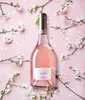 Frescobaldi Alíe Roséwein Toscana trocken (1x0,75l Flasche) Produktbild-Vorschau 5