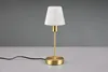 Stolní lampa LUIS II 595700108 Trio Náhled obrázku produktu 8