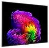 LG OLED55G68LW si/sw OLED-TV Produktbild-Vorschau 2