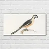 Coloray Bild aus Acryl 100 cm x 50 cm - Acrylblock mit Bild Produktbild-Vorschau 2