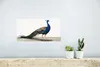 MuchoWow® Poster Pfau - Federn - Vogel - Kinder - Jungen - Produktbild-Vorschau 5