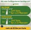 Green Guardia Florfliegenlarven gegen Blattläuse und Produktbild-Vorschau 11