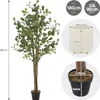 ML-Design umelý eukalyptus 180 cm, umelá rastlina s kmeňom Náhľad obrázku produktu 7
